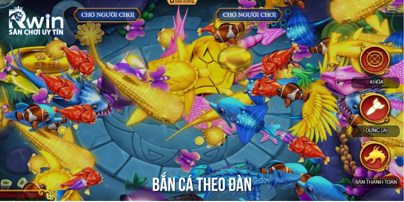 Kỹ thuật bắn những đ&agrave;n c&aacute; lớn để tăng khả năng thắng
