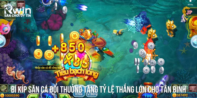Bật m&iacute; một v&agrave;i b&iacute; k&iacute;p săn c&aacute; cực đ&atilde; cho những tay cược cừ kh&ocirc;i
