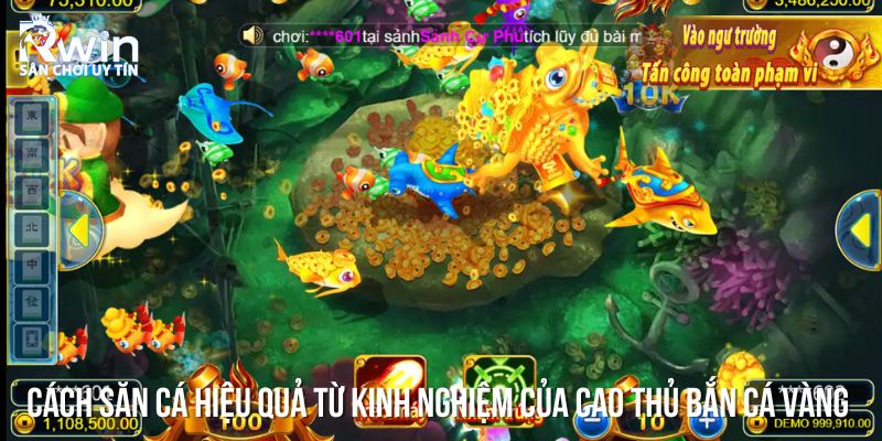 C&aacute;c chiến thuật săn c&aacute; v&agrave;ng hiệu quả từ những bậc thầy bắn c&aacute;