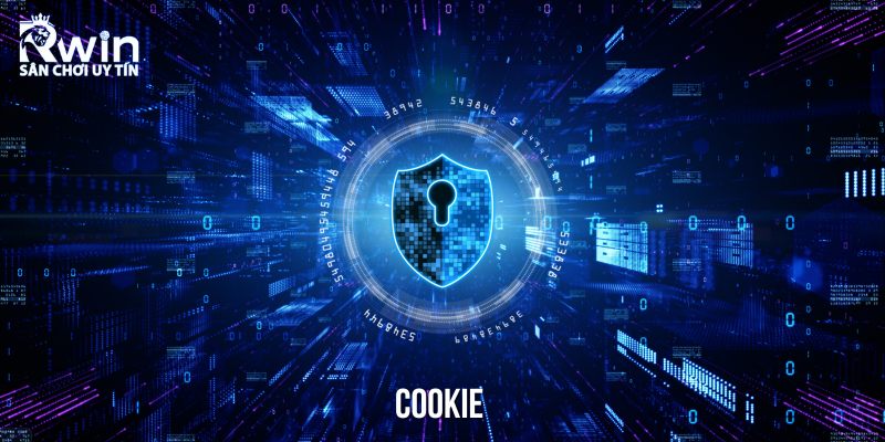 Cookie l&agrave; một trong những chức năng c&oacute; vai tr&ograve; cực kỳ cần thiết