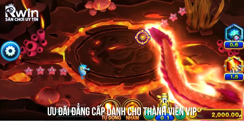 Những loại code bắn c&aacute; h5 đ&aacute;ng ch&uacute; &yacute; nhất
