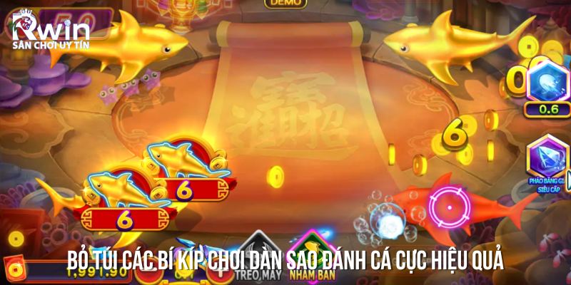 D&agrave;n Sao Đ&aacute;nh C&aacute; &ndash; Mẹo săn c&aacute; hiệu quả từ cao thủ l&acirc;u năm