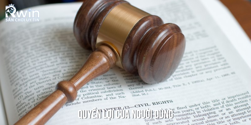 Quyền lợi của người d&ugrave;ng đối với c&aacute;c ch&iacute;nh s&aacute;ch đ&atilde; được thiết lập