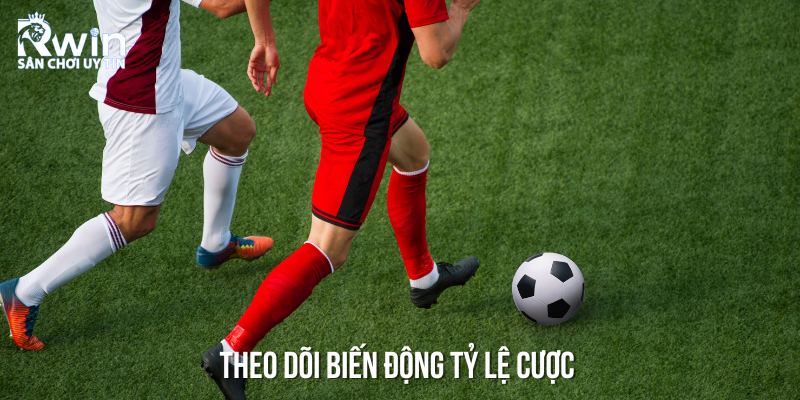 Cập nhật biến động tỷ lệ cược để quyết định chuẩn x&aacute;c hơn