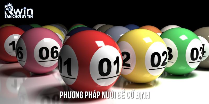 Phương ph&aacute;p nu&ocirc;i l&ocirc; lu&ocirc;n c&oacute; l&atilde;i