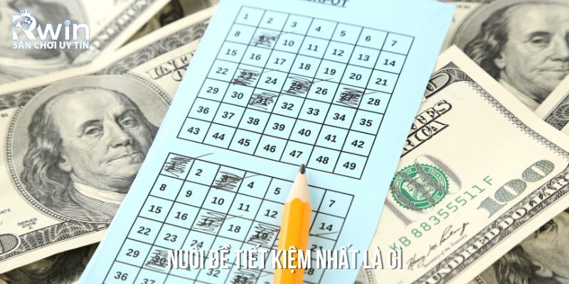 Ưu điểm để người chơi cần nu&ocirc;i đề tiết kiệm nhất